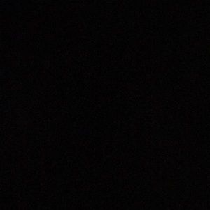 Meet your Posher, Isabel